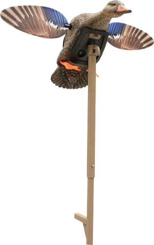 MOJO Elite Series Mini Mallard Hen plastic motion decoy