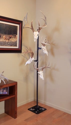 Skull Hooker Trophy Tree black display with five brackets