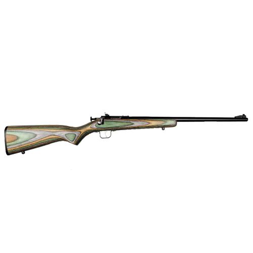 Crickett 22 LR camo laminate blued youth rifle