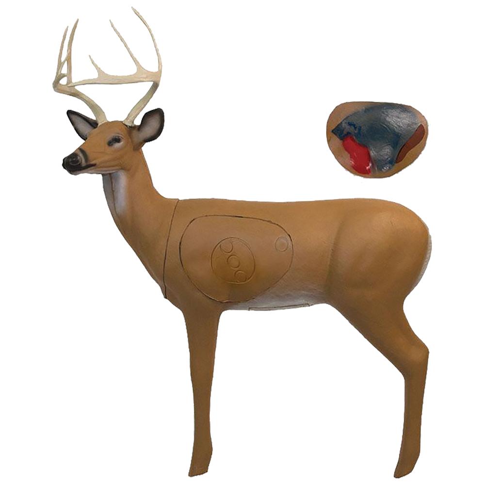Buck archery target with True Scale design and Elasto-Flex foam technology